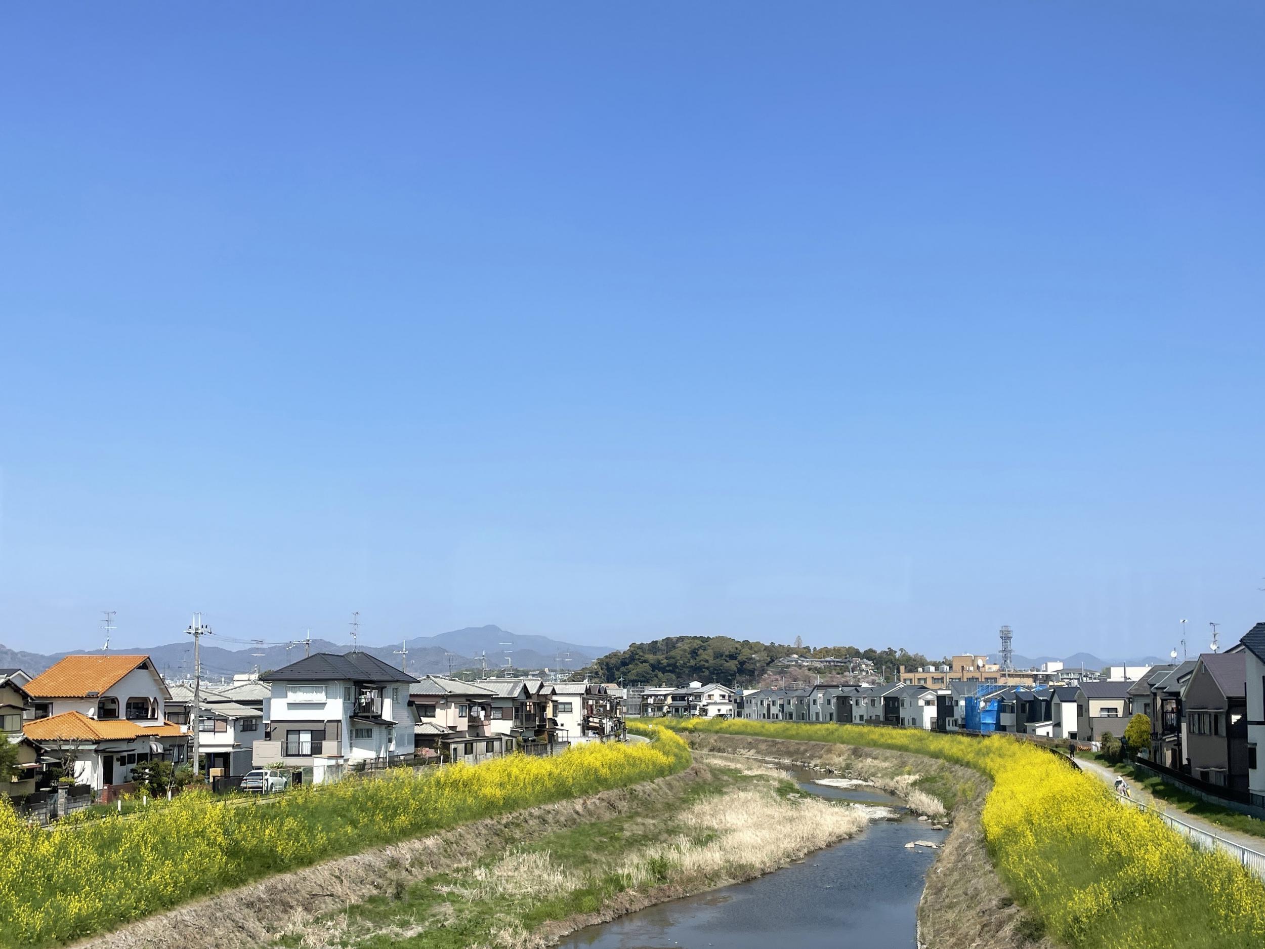 大悲閣 | The fool on the web 大悲閣 | The fool on the web